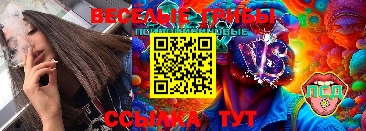 Галлюциногенные грибы Psilocybine cubensis Чапаевск