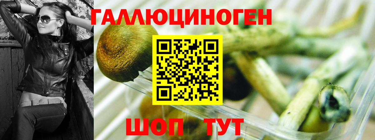 Чапаевск  Псилоцибиновые грибы GOLDEN TEACHER  Вход с VPN  Псилоцибиновые грибы GOLDEN TEACHER 